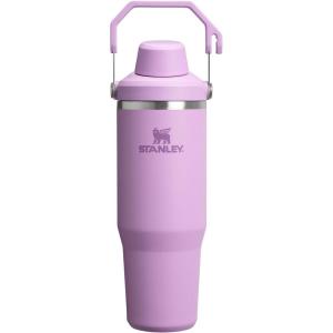 imageStanley IceFlow 20 Fast Flow Tumbler with Handle 30 oz  Twist On Angled Spout Lid  Leakproof Water Bottle  Insulated Stainless Steel  BPAFree  MeadowLilac