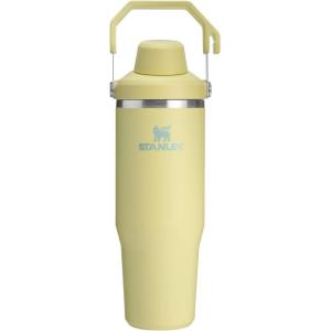 imageStanley IceFlow 20 Fast Flow Tumbler with Handle 30 oz  Twist On Angled Spout Lid  Leakproof Water Bottle  Insulated Stainless Steel  BPAFree  MeadowPomelo