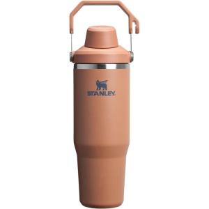imageStanley IceFlow 20 Fast Flow Tumbler with Handle 30 oz  Twist On Angled Spout Lid  Leakproof Water Bottle  Insulated Stainless Steel  BPAFree  MeadowToast
