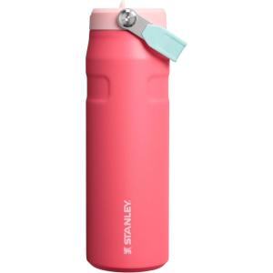 imageStanley IceFlow Flip Straw 20 Water Bottle 24 oz  BuiltIn Straw for Travel and Sports  Lightweight and Leak Resistant  Insulated Stainless Steel  BPAFree  Strawberry CreamWatermelon