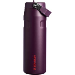 imageStanley IceFlow Flip Straw 20 Water Bottle 24 oz  BuiltIn Straw for Travel and Sports  Lightweight and Leak Resistant  Insulated Stainless Steel  BPAFree  Strawberry CreamPlum