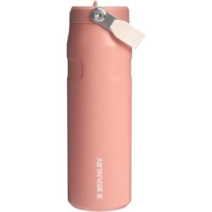 imageStanley IceFlow Flip Straw 20 Water Bottle 24 oz  BuiltIn Straw for Travel and Sports  Lightweight and Leak Resistant  Insulated Stainless Steel  BPAFree  Strawberry CreamExclusive Sienna