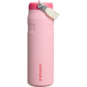 imageStanley IceFlow Flip Straw 20 Water Bottle 24 oz  BuiltIn Straw for Travel and Sports  Lightweight and Leak Resistant  Insulated Stainless Steel  BPAFree  Strawberry CreamStrawberry Cream