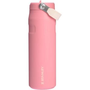 imageStanley IceFlow Flip Straw 20 Water Bottle 24 oz  BuiltIn Straw for Travel and Sports  Lightweight and Leak Resistant  Insulated Stainless Steel  BPAFree  Strawberry CreamSummer Pink Mesa