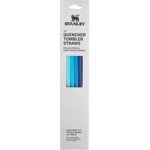 imageStanley Quencher Tumbler Straws  Reusable Replacement Straws for Tumbler with Handle  Stainless Steel Drinking Cup Accessory  BPAFreeBlue Multi Pack