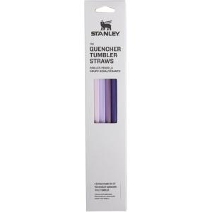 imageStanley Quencher Tumbler Straws  Reusable Replacement Straws for Tumbler with Handle  Stainless Steel Drinking Cup Accessory  BPAFreePurple Multi Pack