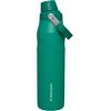 imageStanley IceFlow Fast Flow Water Bottle  Angled Spout Lid  Lightweight ampamp Leakproof for Travel ampamp Sports  Insulated Stainless Steel  BPAFreeAlpine