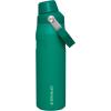 imageStanley IceFlow Fast Flow Water Bottle  Angled Spout Lid  Lightweight ampamp Leakproof for Travel ampamp Sports  Insulated Stainless Steel  BPAFreeAlpine