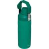 imageStanley IceFlow Fast Flow Water Bottle  Angled Spout Lid  Lightweight ampamp Leakproof for Travel ampamp Sports  Insulated Stainless Steel  BPAFreeAlpine