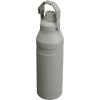 imageStanley IceFlow Fast Flow Water Bottle  Angled Spout Lid  Lightweight ampamp Leakproof for Travel ampamp Sports  Insulated Stainless Steel  BPAFreeAsh