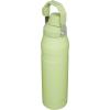 imageStanley IceFlow Fast Flow Water Bottle  Angled Spout Lid  Lightweight ampamp Leakproof for Travel ampamp Sports  Insulated Stainless Steel  BPAFreeCitron
