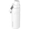 imageStanley IceFlow Fast Flow Water Bottle  Angled Spout Lid  Lightweight ampamp Leakproof for Travel ampamp Sports  Insulated Stainless Steel  BPAFreeFrost