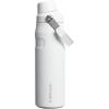 imageStanley IceFlow Fast Flow Water Bottle  Angled Spout Lid  Lightweight ampamp Leakproof for Travel ampamp Sports  Insulated Stainless Steel  BPAFreeFrost