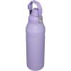 imageStanley IceFlow Fast Flow Water Bottle  Angled Spout Lid  Lightweight ampamp Leakproof for Travel ampamp Sports  Insulated Stainless Steel  BPAFreeLavender