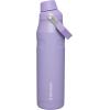 imageStanley IceFlow Fast Flow Water Bottle  Angled Spout Lid  Lightweight ampamp Leakproof for Travel ampamp Sports  Insulated Stainless Steel  BPAFreeLavender