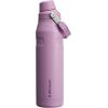 imageStanley IceFlow Fast Flow Water Bottle  Angled Spout Lid  Lightweight ampamp Leakproof for Travel ampamp Sports  Insulated Stainless Steel  BPAFreeLilac