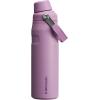 imageStanley IceFlow Fast Flow Water Bottle  Angled Spout Lid  Lightweight ampamp Leakproof for Travel ampamp Sports  Insulated Stainless Steel  BPAFreeLilac