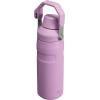 imageStanley IceFlow Fast Flow Water Bottle  Angled Spout Lid  Lightweight ampamp Leakproof for Travel ampamp Sports  Insulated Stainless Steel  BPAFreeLilac