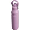 imageStanley IceFlow Fast Flow Water Bottle  Angled Spout Lid  Lightweight ampamp Leakproof for Travel ampamp Sports  Insulated Stainless Steel  BPAFreeLilac