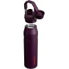 imageStanley IceFlow Fast Flow Water Bottle  Angled Spout Lid  Lightweight ampamp Leakproof for Travel ampamp Sports  Insulated Stainless Steel  BPAFreePlum