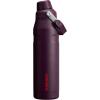 imageStanley IceFlow Fast Flow Water Bottle  Angled Spout Lid  Lightweight ampamp Leakproof for Travel ampamp Sports  Insulated Stainless Steel  BPAFreePlum