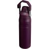 imageStanley IceFlow Fast Flow Water Bottle  Angled Spout Lid  Lightweight ampamp Leakproof for Travel ampamp Sports  Insulated Stainless Steel  BPAFreePlum