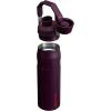 imageStanley IceFlow Fast Flow Water Bottle  Angled Spout Lid  Lightweight ampamp Leakproof for Travel ampamp Sports  Insulated Stainless Steel  BPAFreePlum