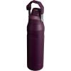 imageStanley IceFlow Fast Flow Water Bottle  Angled Spout Lid  Lightweight ampamp Leakproof for Travel ampamp Sports  Insulated Stainless Steel  BPAFreePlum