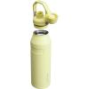imageStanley IceFlow Fast Flow Water Bottle  Angled Spout Lid  Lightweight ampamp Leakproof for Travel ampamp Sports  Insulated Stainless Steel  BPAFreePomelo