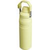 imageStanley IceFlow Fast Flow Water Bottle  Angled Spout Lid  Lightweight ampamp Leakproof for Travel ampamp Sports  Insulated Stainless Steel  BPAFreePomelo