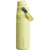imageStanley IceFlow Fast Flow Water Bottle  Angled Spout Lid  Lightweight ampamp Leakproof for Travel ampamp Sports  Insulated Stainless Steel  BPAFreePomelo