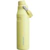 imageStanley IceFlow Fast Flow Water Bottle  Angled Spout Lid  Lightweight ampamp Leakproof for Travel ampamp Sports  Insulated Stainless Steel  BPAFreePomelo