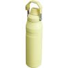 imageStanley IceFlow Fast Flow Water Bottle  Angled Spout Lid  Lightweight ampamp Leakproof for Travel ampamp Sports  Insulated Stainless Steel  BPAFreePomelo