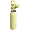 imageStanley IceFlow Fast Flow Water Bottle  Angled Spout Lid  Lightweight ampamp Leakproof for Travel ampamp Sports  Insulated Stainless Steel  BPAFreePomelo