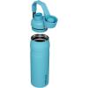 imageStanley IceFlow Fast Flow Water Bottle  Angled Spout Lid  Lightweight ampamp Leakproof for Travel ampamp Sports  Insulated Stainless Steel  BPAFreePool