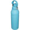 imageStanley IceFlow Fast Flow Water Bottle  Angled Spout Lid  Lightweight ampamp Leakproof for Travel ampamp Sports  Insulated Stainless Steel  BPAFreePool