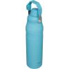 imageStanley IceFlow Fast Flow Water Bottle  Angled Spout Lid  Lightweight ampamp Leakproof for Travel ampamp Sports  Insulated Stainless Steel  BPAFreePool