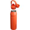 imageStanley IceFlow Fast Flow Water Bottle  Angled Spout Lid  Lightweight ampamp Leakproof for Travel ampamp Sports  Insulated Stainless Steel  BPAFreeTigerlily Plum