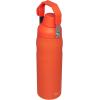 imageStanley IceFlow Fast Flow Water Bottle  Angled Spout Lid  Lightweight ampamp Leakproof for Travel ampamp Sports  Insulated Stainless Steel  BPAFreeTigerlily