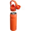 imageStanley IceFlow Fast Flow Water Bottle  Angled Spout Lid  Lightweight ampamp Leakproof for Travel ampamp Sports  Insulated Stainless Steel  BPAFreeTigerlily Plum
