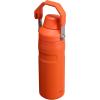 imageStanley IceFlow Fast Flow Water Bottle  Angled Spout Lid  Lightweight ampamp Leakproof for Travel ampamp Sports  Insulated Stainless Steel  BPAFreeTigerlily Plum