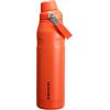 imageStanley IceFlow Fast Flow Water Bottle  Angled Spout Lid  Lightweight ampamp Leakproof for Travel ampamp Sports  Insulated Stainless Steel  BPAFreeTigerlily Plum