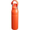 imageStanley IceFlow Fast Flow Water Bottle  Angled Spout Lid  Lightweight ampamp Leakproof for Travel ampamp Sports  Insulated Stainless Steel  BPAFreeTigerlily Plum