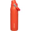 imageStanley IceFlow Fast Flow Water Bottle  Angled Spout Lid  Lightweight ampamp Leakproof for Travel ampamp Sports  Insulated Stainless Steel  BPAFreeTigerlily