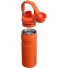 imageStanley IceFlow Fast Flow Water Bottle  Angled Spout Lid  Lightweight ampamp Leakproof for Travel ampamp Sports  Insulated Stainless Steel  BPAFreeTigerlily Plum