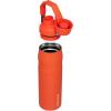imageStanley IceFlow Fast Flow Water Bottle  Angled Spout Lid  Lightweight ampamp Leakproof for Travel ampamp Sports  Insulated Stainless Steel  BPAFreeTigerlily