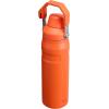imageStanley IceFlow Fast Flow Water Bottle  Angled Spout Lid  Lightweight ampamp Leakproof for Travel ampamp Sports  Insulated Stainless Steel  BPAFreeTigerlily Plum