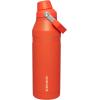 imageStanley IceFlow Fast Flow Water Bottle  Angled Spout Lid  Lightweight ampamp Leakproof for Travel ampamp Sports  Insulated Stainless Steel  BPAFreeTigerlily