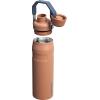 imageStanley IceFlow Fast Flow Water Bottle  Angled Spout Lid  Lightweight ampamp Leakproof for Travel ampamp Sports  Insulated Stainless Steel  BPAFreeToast VRT