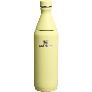 imageStanley All Day Slim Bottle 20 oz  Twist off Lid with Leakproof Seal  Slim Design for Travel and Gym  Insulated Stainless Steel Water Bottle  BPAFree  Twilight GlossPomelo Gloss